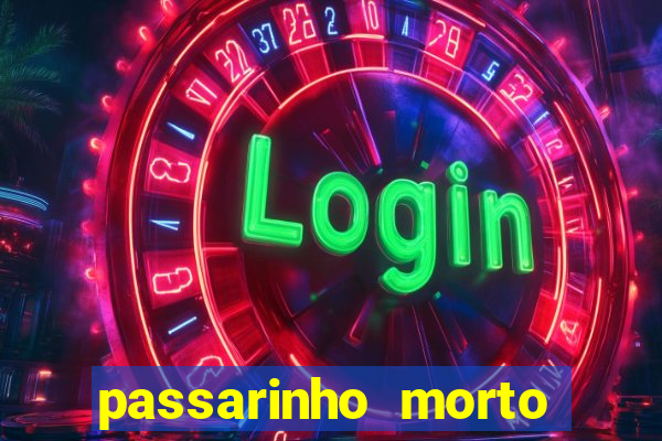 passarinho morto significado espiritual